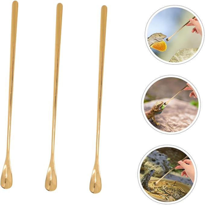 Reusable Reptile Spoon Pet Food Scoop Lizard Food Feeding Tool Stainless Steel Reptile Feeding Spoons Set