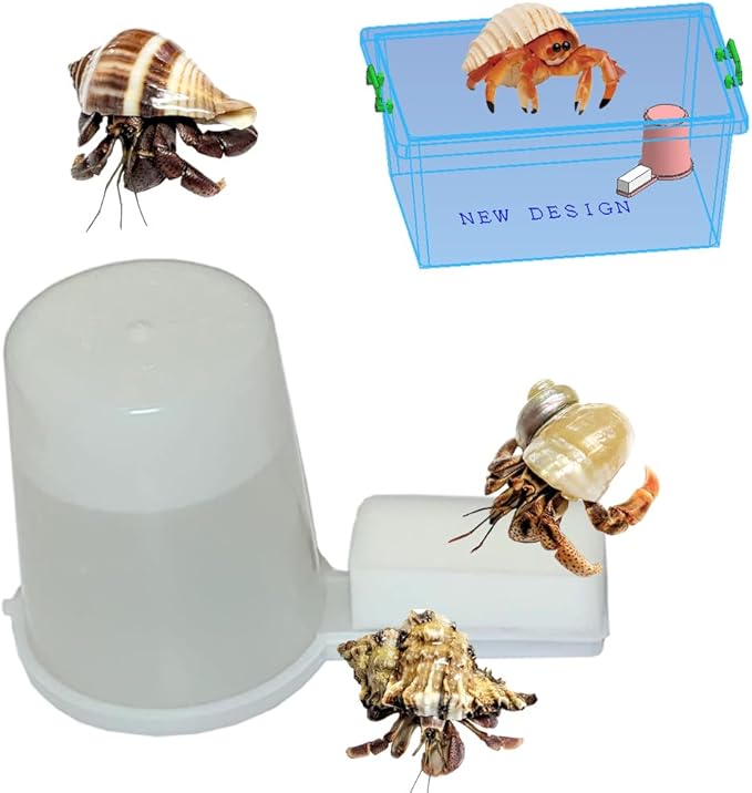 Hermit Crab Safe Water Cup with 3Pcs Hermit Crab Sponges, Automatic Hermit Crab Drinking Water, Hermit Crab Habitat Supplies, Hermit Crab Tank Decor, Hermit Crab Tank Humidity