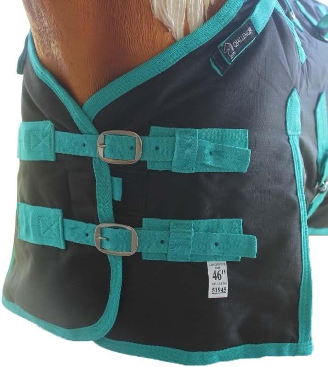 58" 1200D Miniature Weanling Donkey Pony Horse Foal Winter Blanket Teal 51945