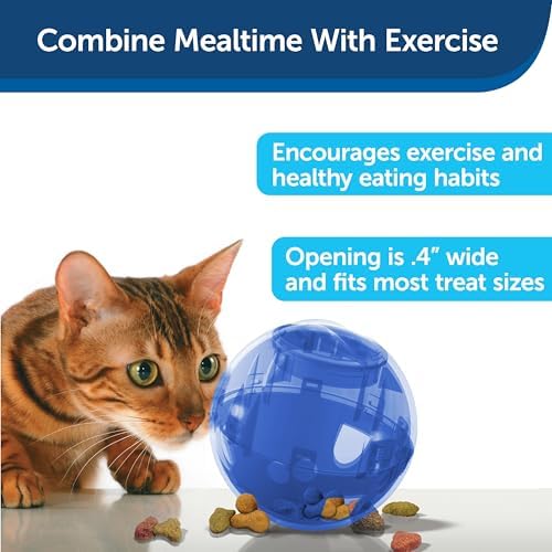PetSafe Slimcat Feeder Ball Cat Toy, Blue - Image 4