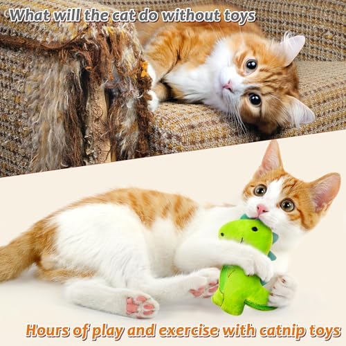 MALLMALL6 5Pcs Dinosaur Catnip Toys for Cat, Indoor Cat Chew Bite Kick Catmint Pet Supplies for Kitten Lover Gifts, Interactive Pet Toy with Cute Expression - Image 5