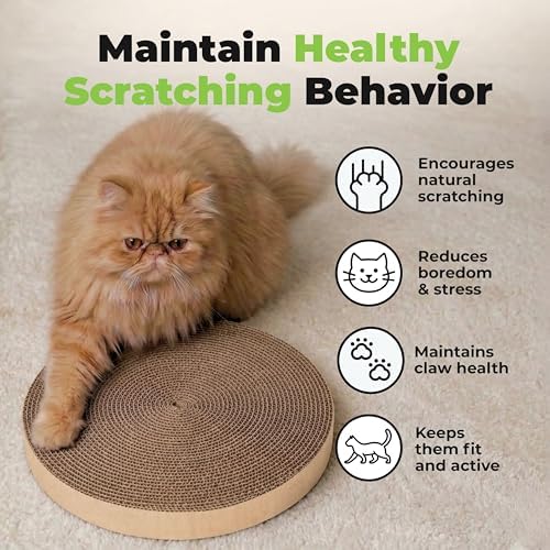 Catify Spin n' Scratch Cat Scratch Pad Refill - Round, 5-Pack - Image 6