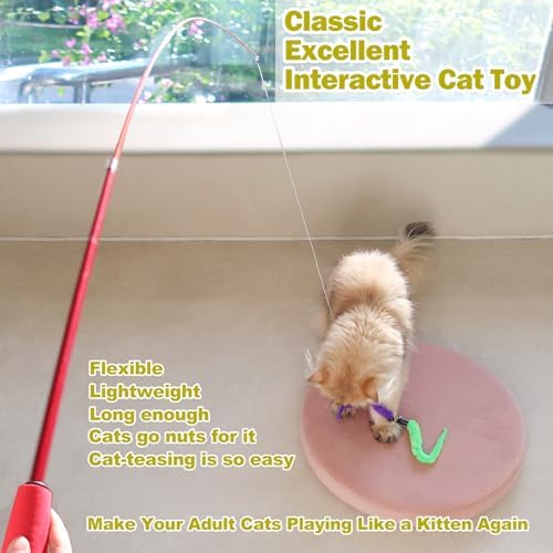 MeoHui Cat Toys for Indoor Cats, Interactive Cat Toy 2PCS Retractable Wand Toy and 9PCS Cat Feather Toys Refills, Funny Kitten Toys Cat Fishing Pole Toy for Bored Indoor Cats Chase and Exercise - Image 2