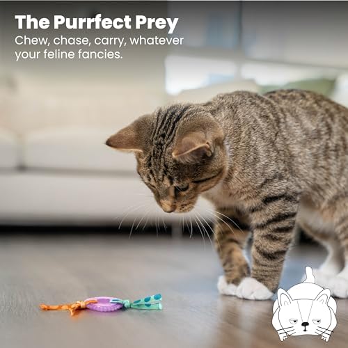 Catstages Kitty Chew Wheel, Dental Cat Toy with Catnip Oil, Teeth Cleaning, Healthy Chewing, Boredom Relief, Kicking & Batting for Kittens and Adult Cats, Purple (Pack of 2) - Image 6