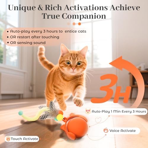 ORSDA Cat Toys for Indoor Cats, New Intelligent Voice Timing Touch Control Cats Ball, Simulate Mouse Sound Kitten Toy, Automatic Interactive Moving Cat Toy for All Ages - Image 2