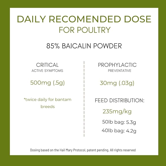 Dam Kids Ranch FORTIFLOCK Poultry Supplement with Chinese Skullcap, for Bird Respiratory and Gut Health (500g)