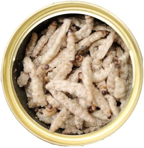 Canned Caterpillars (1.2 oz. 6 Pack) - Healthy High Protein Insect Treat - Hedgehogs, Sugar Gliders, Reptiles, Wild Birds, Chickens, Lizards, Bearded Dragons, Skunks, Opossums, Fish, Amphibians