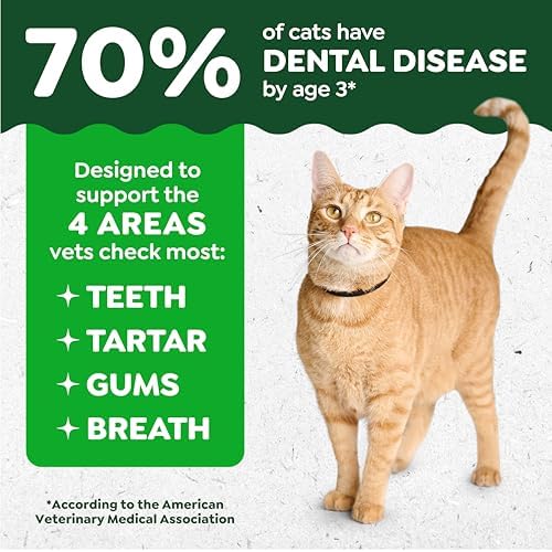Greenies Feline Natural Dental Cat Treats, Roasted Chicken Flavor, 21 oz - Image 2