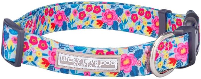 Lucky Love Dog - Adjustable Dog Collar with Easy Click Buckle for Medium, Durable, & Comfortable for Male & Female Dogs, Pet Collar for Puppies & Adult Dogs - Valentina, Medium