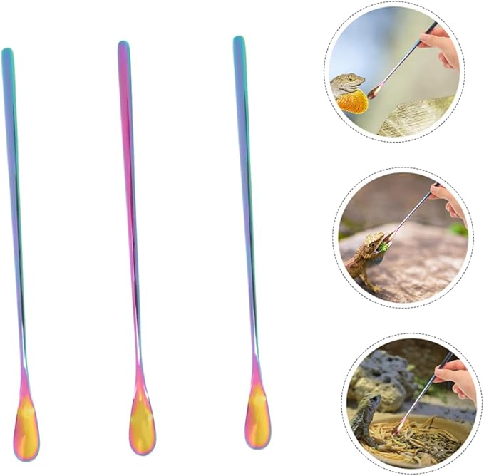 BESPORTBLE 3pcs Reptile Food Spoon Long Handle Small Pet Food Scoop for Tortoise Iguana