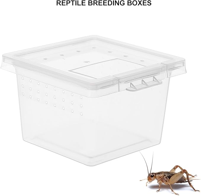 balacoo Transparent Reptile Breeding Box Mini Feeding Cage Tank with Lid 2.67X2.16X1.77 Inch Compact Lightweight Insect Habitat for Spider Scorpion Gecko Snake
