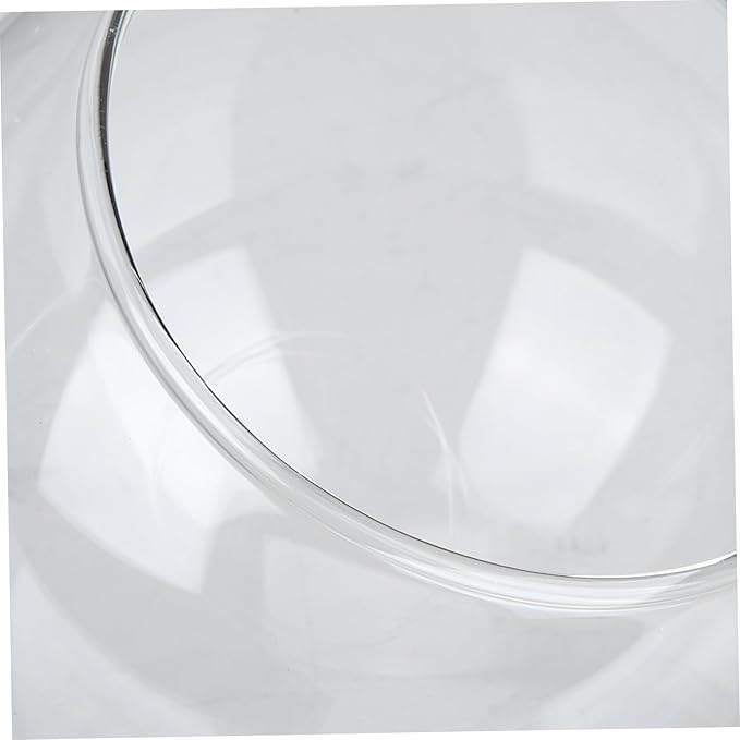 SOLUSTRE 2pcs Flower Protector Ornament Glass Dome Micro Landscape Terrarium Supplies