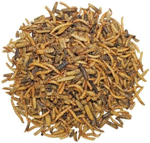 EZ Worms (20 lb.) - Blend of Dried Mealworms & Black Soldier Fly Larvae (BSFL) - Healthy Insect Treat - Chickens, Bluebirds, Sugar Gliders, Hedgehogs, Squirrels, Skunks, Reptiles, Turtles, Fish