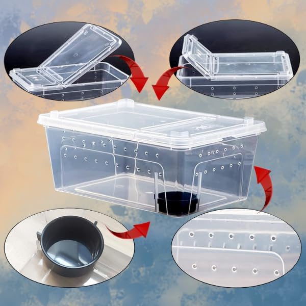 Critter Keeper 5-Pack Reptile Habitat - Large 12.59"x8.66"x5.9" Transparent Plastic Terrarium with Feeding Bowls, Ventilated Cricket Cage for Gecko, Tarantula, Snake, Frog, Lizard, Spider & Scorpion