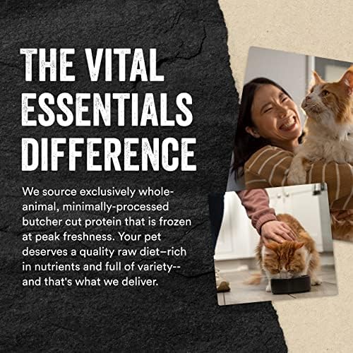 Vital Essentials Freeze Dried Minnows Cat Treats | Single Ingredient | Premium Quality | Grain Free, Healthy Treats for Cats, 1 oz Bag (Pack of 6) - Image 6