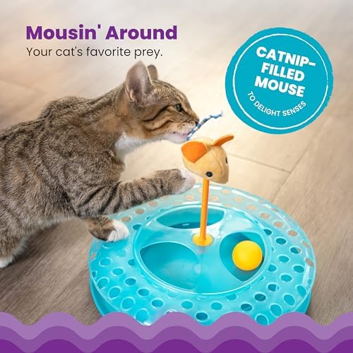 Catstages Cheese Chase Interactive Cat Track Toy with Balls and Catnip Toy, Multicolored - Image 3