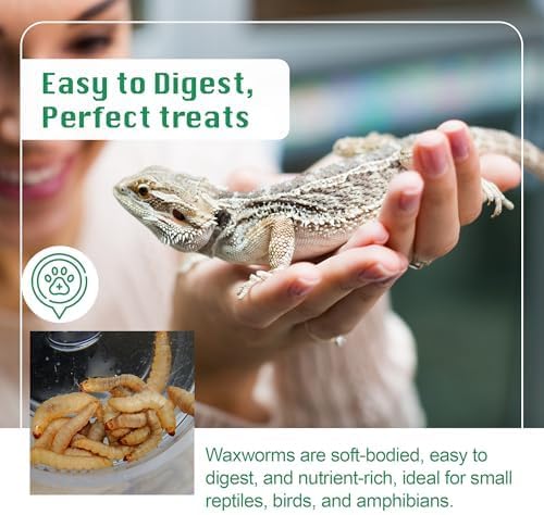 250 Count Live Waxworms
