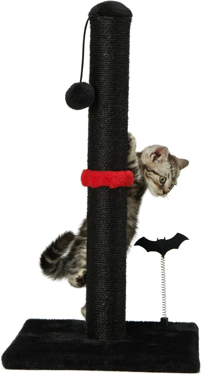 MECOOL Cat Scratching Post Premium Sisal Scratch Posts with Hanging Ball Vertical Scratcher for Indoor Cats and Kittens,Black by MECOOL