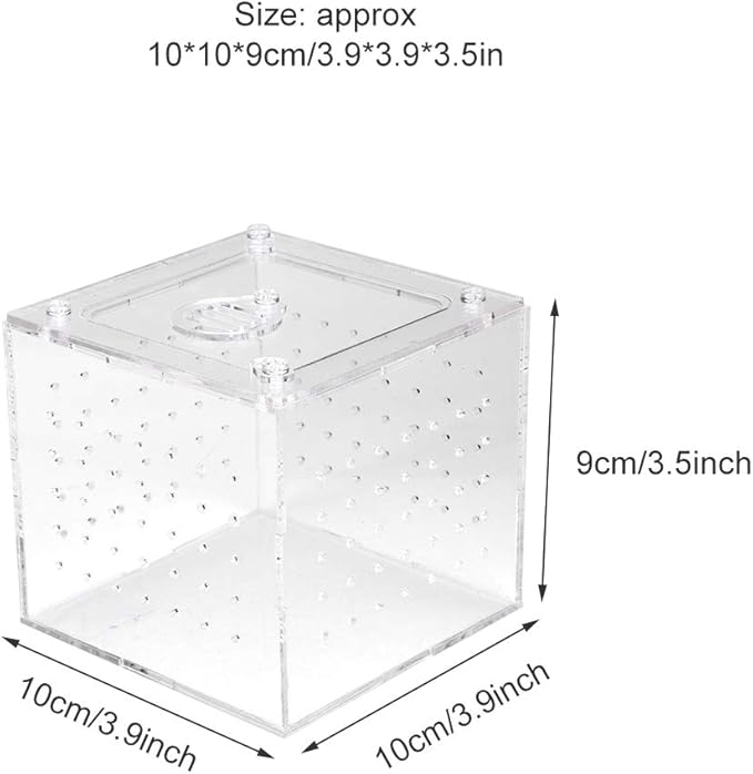 Reptile Breeding Tools, Reptile Hatching Supplies, Lizard Breeding Acrylic Box Case Insects House 1Pc Reptile Terrarium Feeder Snakes Spider