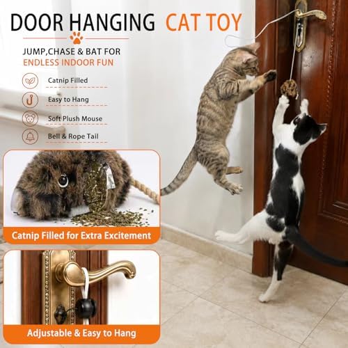 Cat Toys for Indoor Cats,Interactive Door Hanging Cat Toys Attached with Catnip/Worm/Birds/Mouse Toys for Cats/Kitten Toys(3 Pack) - Image 6