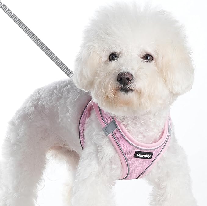 Sparkly Dog Harness Small Sized and Leash Set for Small Dogs Cats,Pink XXS Puppy Harness, Step in Soft Dog Reflective Vest, Breathable Mesh Pet Harness. (Pink, XXS)