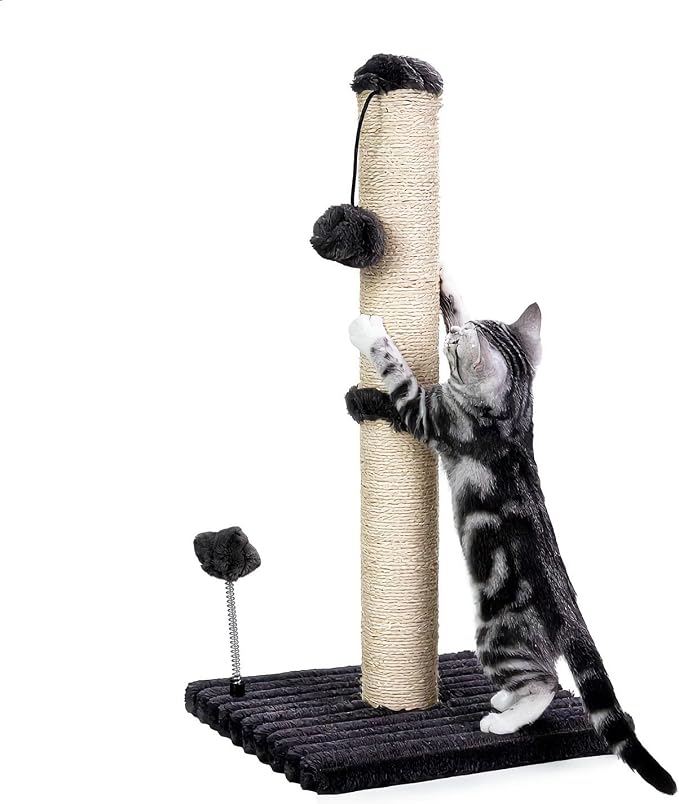 MECOOL Cat Scratching Post Premium Basics Kitten Scratcher Sisal Scratch Posts with Hanging Ball 22in for Kittens or Smaller Cats (22 inches for Kitten,Charcoal Gray) - Image 8