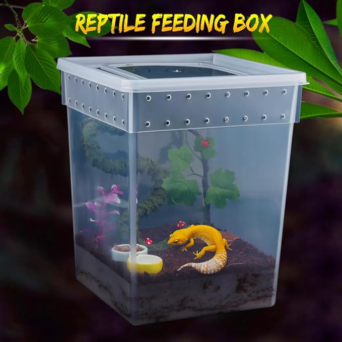 7 Pack Large Size Reptile Feeding Box Gecko Plastic Transparent Breeding Box for Snake Tree Frog Bearded Dragon Lizard Spider Praying Mantis (7.8" x 7.8" x 9.8")