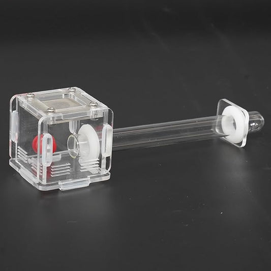 2x2x2 Inch 15mm Acrylic Transparent Ant Nest - Mini Ant Farm, Small Colony Observation