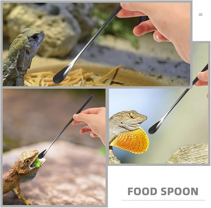balacoo 3pcs Reptile Food Spoon Handle Feeding Tool for Lizards and Small for Easy Use and Portability for Tortoise and Gecko Care