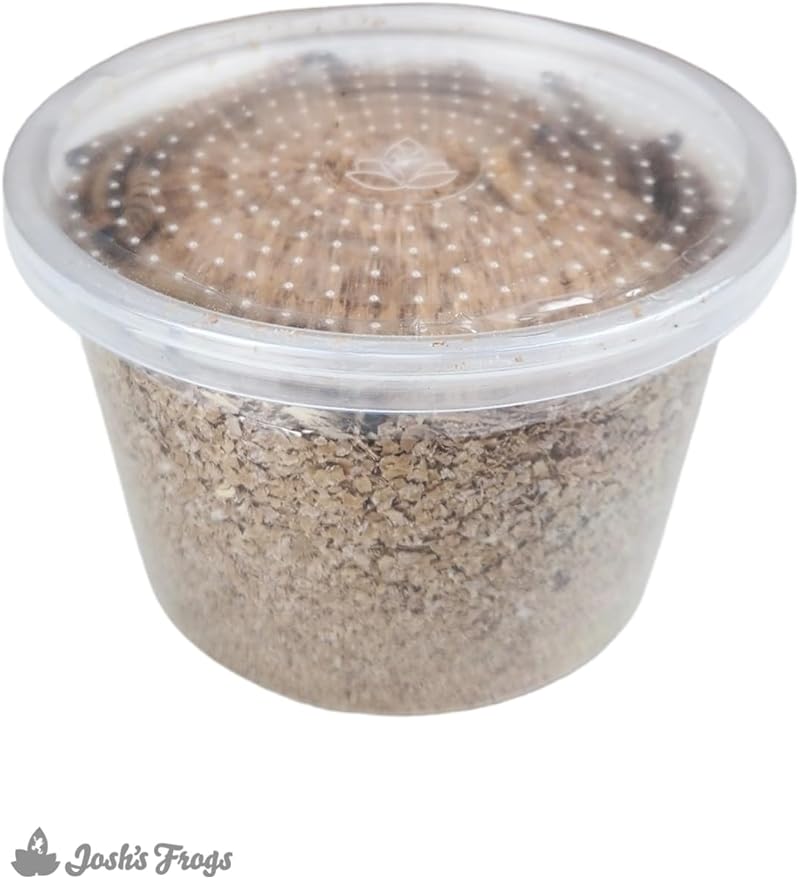 Josh's Frogs Superworms (100 Count)