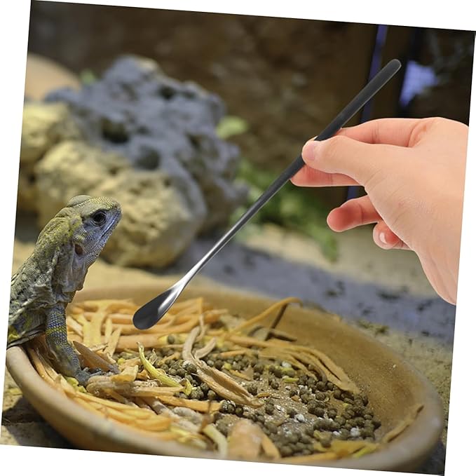 BESPORTBLE 3Pcs Reptile Food Spoon Set for Small Animals Portable Lizard Food Scoop Adjustable Feeding Tools for Bearded Dragons and Other Pets