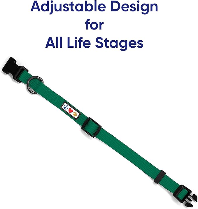 Pawtitas Value Bundle Set | Medium Step in Dog Harness + Medium Dog Collar + Medium/Large 6ft Dog Leash - Lush Green Set