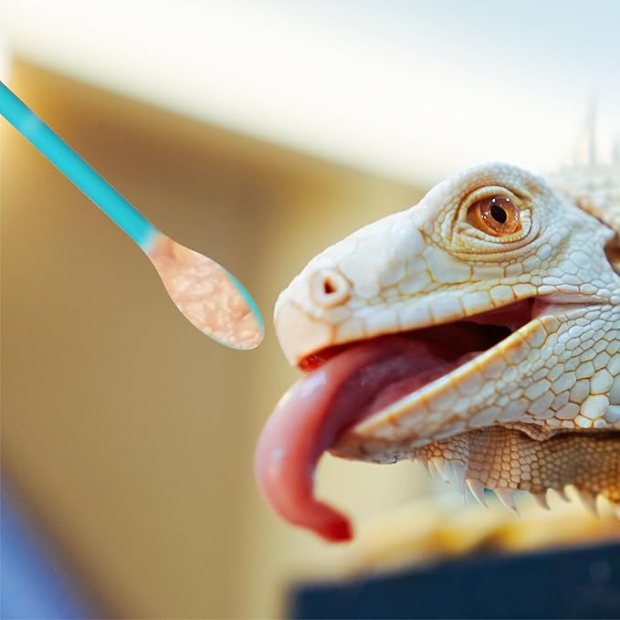 4 Pcs Reptile Spoon, Crested Gecko Food Mixing Spoon Crested Gecko Accessories Long Handle Feeding Tool fit Lizard Gargoyle Bearded Dragon
