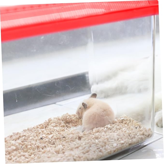 POPETPOP Amphibia Glass Portable Fish Tank, Reptile Terrarium Small Transparent Tank Pet Hamster Box for Reptile Aquarium Decor Glass Containers Plastic Animals