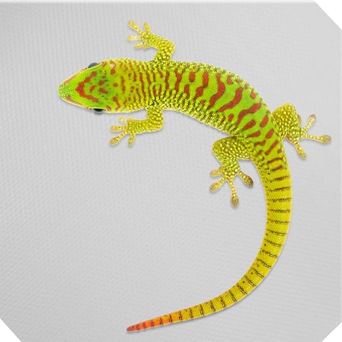 UPKOCH Eva Reptile Carpet for Bearded Dragons Tortoises Lizards Large Non Slip Terrarium Mat Gecko Tank Accessory for Comfortable Habitat