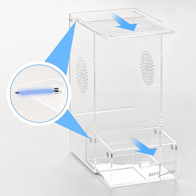 REPTI ZOO Acrylic Reptile Terrarium, Full View Acrylic Jumping Spider Enclosure 4" x 4" x 8", Vertical Feeding Box for Small Reptiles and Invertebrates, Mantis, Spider, Cricket, Tarantula