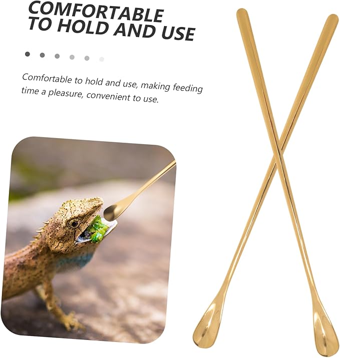 HANABASS 2pcs Stainless Steel Food Scoop for Reptiles and Small Animals Durable Feeding Spoon Convenient Pet Food Feeder Tool Lightweight and Portable for Lizard and Other Pets