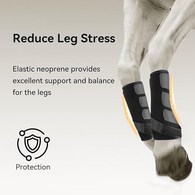 4 Pcs Horse Sport Boots - Neoprene Protective Breathable Comfy Mesh All-Round Lower Limb Protection & Support for Jumping Trail Riding Endurance Training and Performance