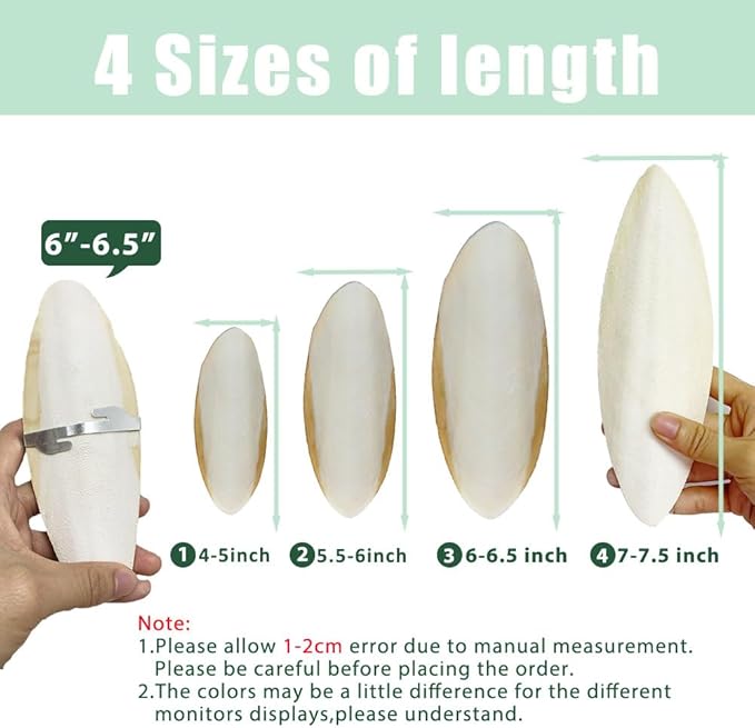 Natural Cuttlebone for Birds Parakeets Canaries Cockatiels Small Conures Mynahs Toucans African Greys All Parrots Snails Totoise (7-7.5 inch,6PCS)