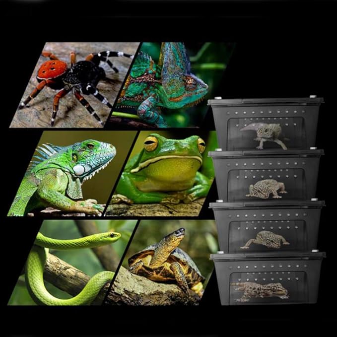 OMEM Portable Reptile Terrarium Habitat for Mini Pet Houses Breathable Holes Stackable Container (2PCS-Black-M)