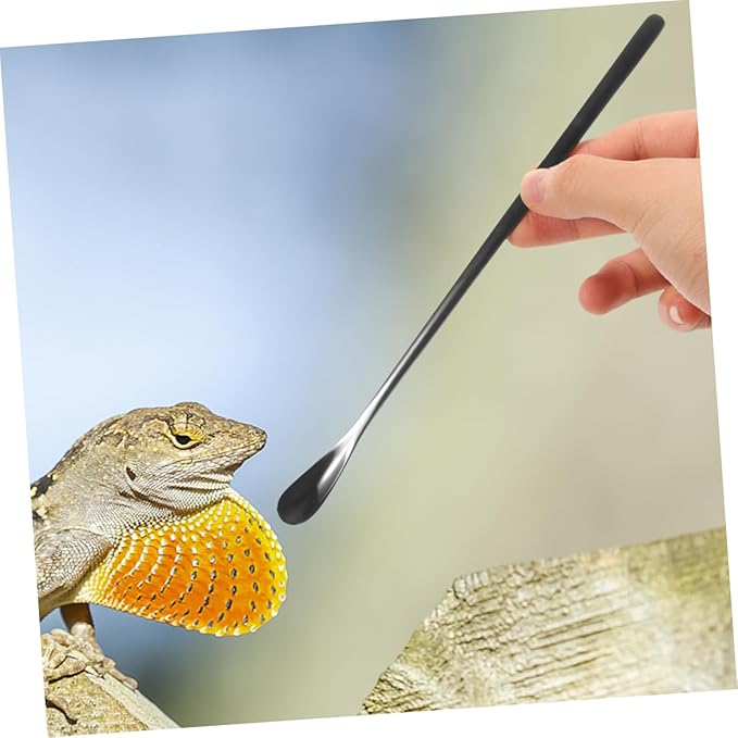 BESPORTBLE 3Pcs Reptile Feeding Spoon Set Long Handle PET Food Scoop for Lizard and Small Animals Reusable Feeding Tool for Wet Food for Reptile Supplies