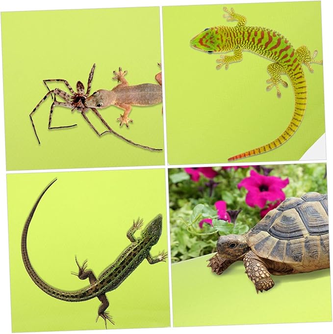 ORFOFE Reptile Carpet Terrarium Bedding Lizard Tank Accessories Reptile Substrate Eva Mat