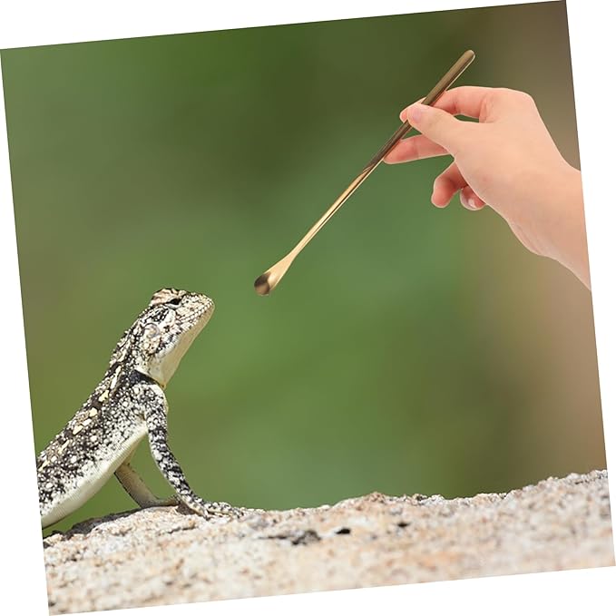 HANABASS 2pcs Stainless Steel Food Scoop for Reptiles and Small Animals Durable Feeding Spoon Convenient Pet Food Feeder Tool Lightweight and Portable for Lizard and Other Pets