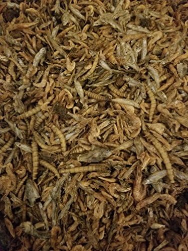 Wormy Worms Aquatic Turtle Treat w/Fish Shrimp Mealworms Superworms Silkworm Pupae Crickets & Locusts (1 lb)