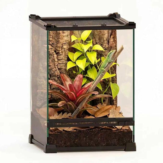 10"x10"x14" Mini Reptile Glass Terrarium, Front-Opening Vivarium with Feeding Slot & Heat-Resistant Aluminum Frame for Small Reptiles & Inverts, Like Anoles, Orchid Mantises & Stick Insects