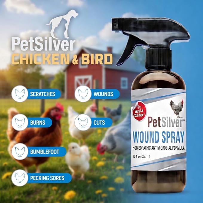 PetSilver Chicken Wound Spray for Chickens & Birds - Patented Silver Solution - Silver Spray for Wounds, Pecking Sores, Bumblefoot, Cuts, Burns, & Skin Irritations - Chicken Care - USA Made - 12 fl oz