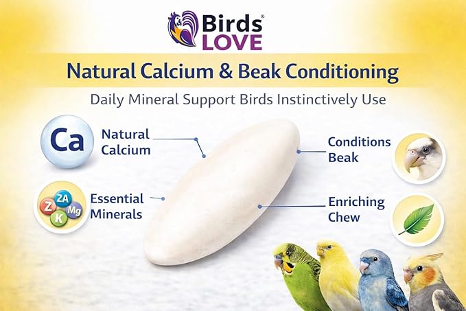 Birds LOVE 7.5-8" Cuttlebones for Birds – 100% Natural Sun-Dried Calcium & Beak Conditioning Supplement for Parakeets, Budgies, Cockatiels, Finches & Canaries – 4 lb with Holder – Made in Vietnam