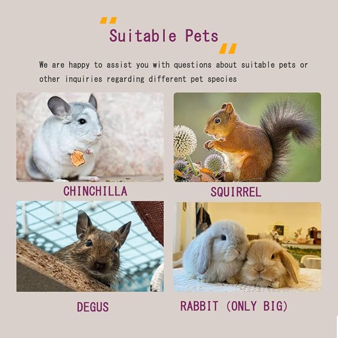 Chinchilla House Pet House Chinchilla Hideout Natural Wooden No Paint Wooden peg Safe Durable Teeth Grinding