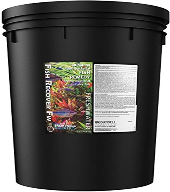 Brightwell Aquatics Fish Recover FW, Natural Herbal Medication for Open Sores, 20 L