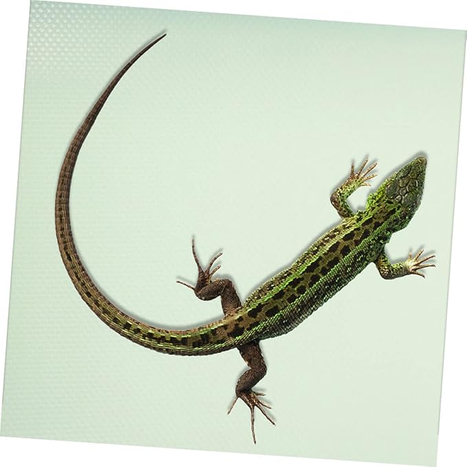 KESYOO Reptile Carpet Substrate Liner for Terrarium Soft Eva Bedding Mat for Bearded Dragon Snake Lizard Tortoise Leopard and Leak